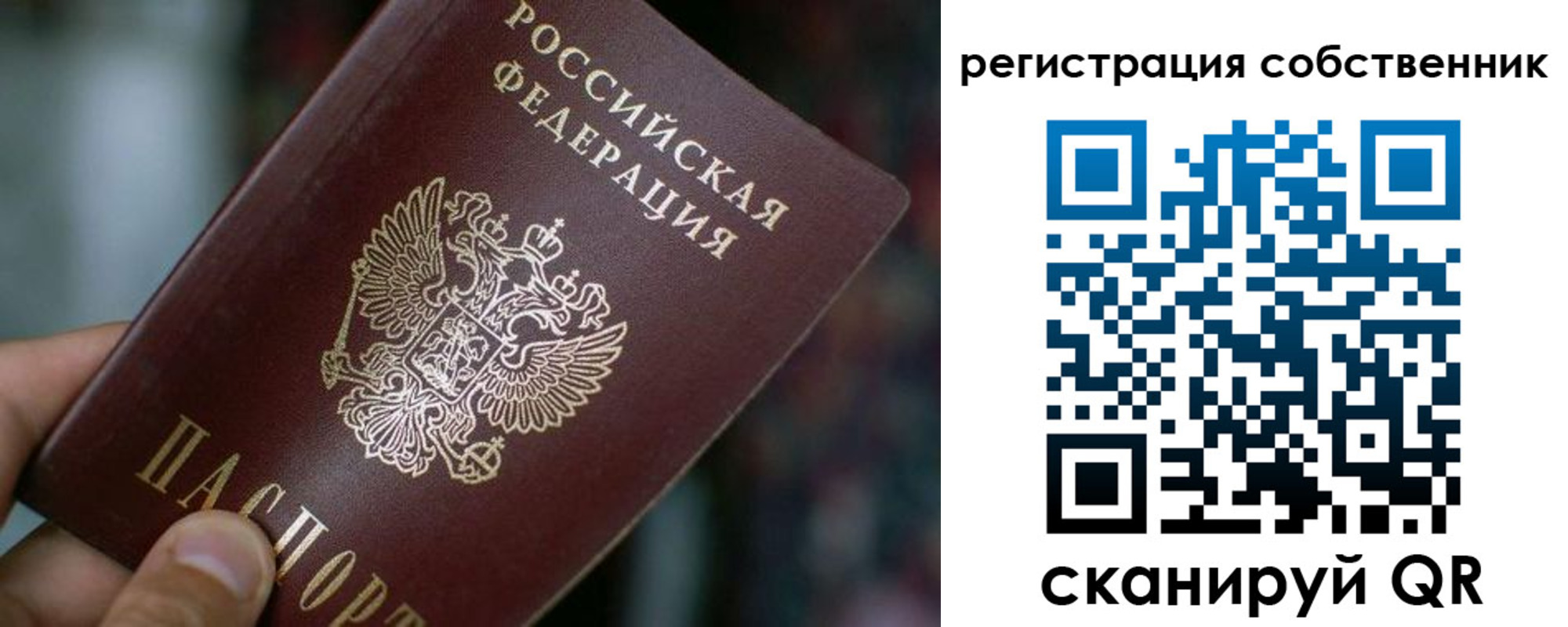 пропишу в квартире в Лосино-Петровском